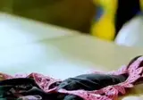 진동 팬티 입고 운동회간 엄마.mp4