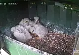 죽었다고 생각한 혈육이 살아 돌아왔다.gif